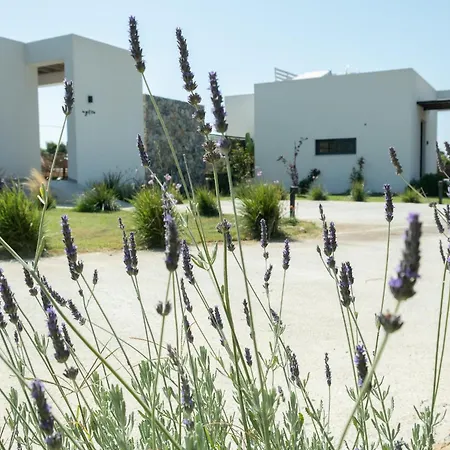 Aphrodite Luxury & Suites-private Heated Pool & Jacuzzi העיירה קוס