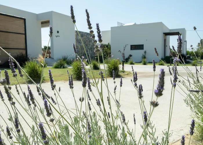 Aphrodite Luxury Kos-stad